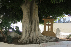 уголок Тельде