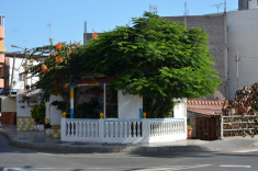 Моган, Аргенегин