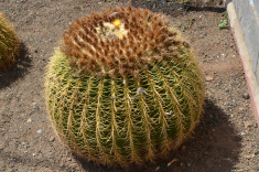 удобный стул