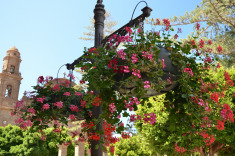 Гальдар в цветах