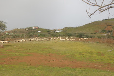 Далеко от туристической суетни...