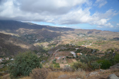 канарские виды