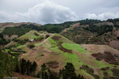 Мойя, Фонтаналес