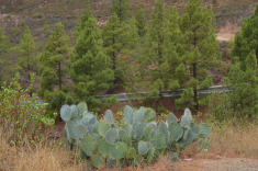 такое разнообразие рядом